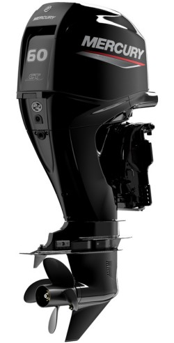 Mercury F 60 EFI